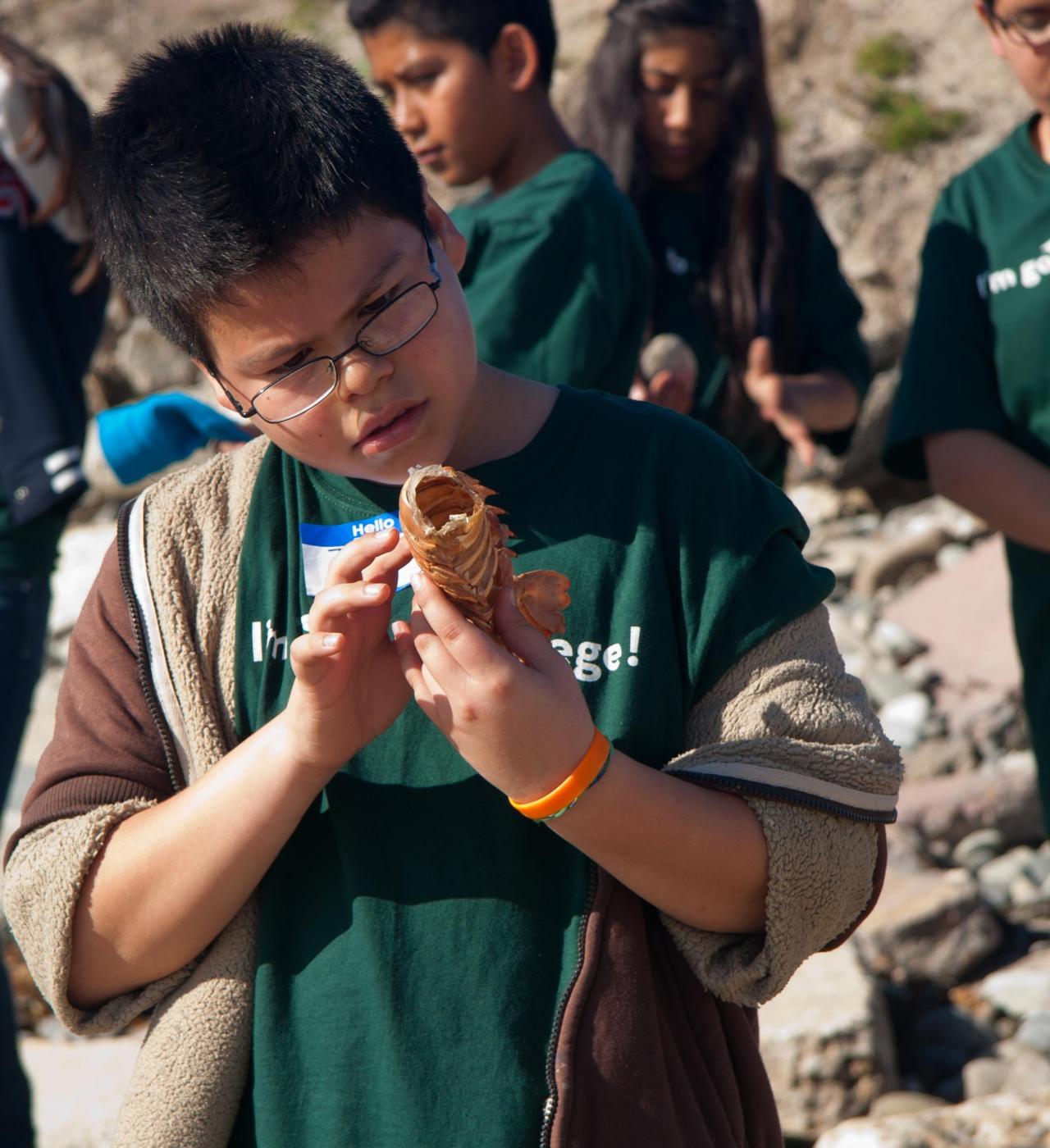 A kid curiously and inquisitively examining a shed lobster shell